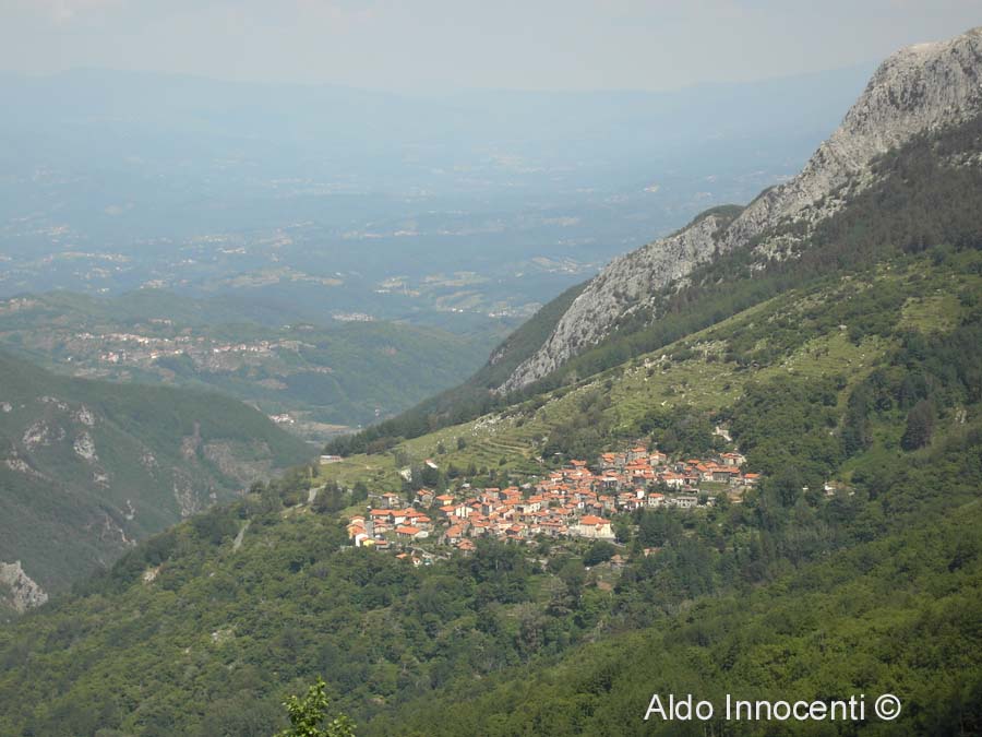 ALTRA IMMAGINE PANORAMICA DI VINCA